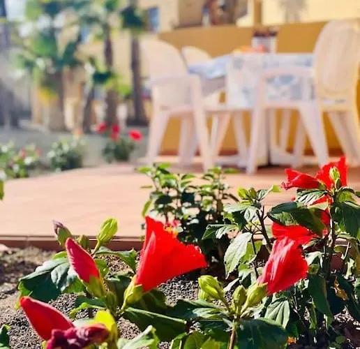 Apartment Casa Silva *